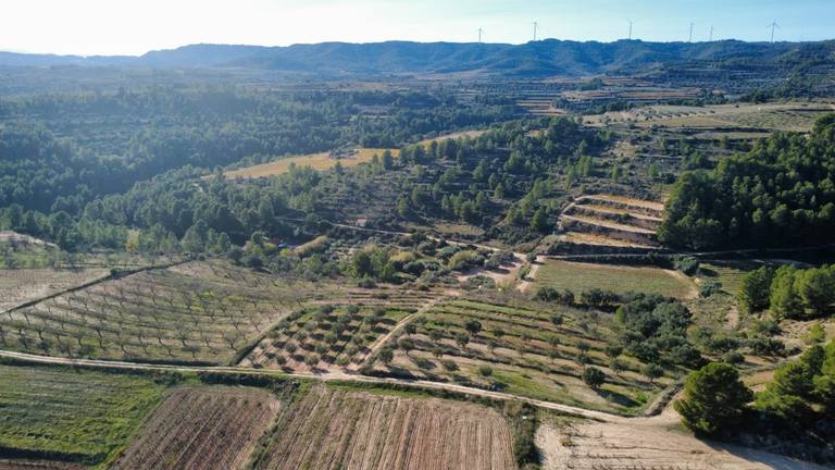 Venta: Terreno de viñas en Bot/Tarragona