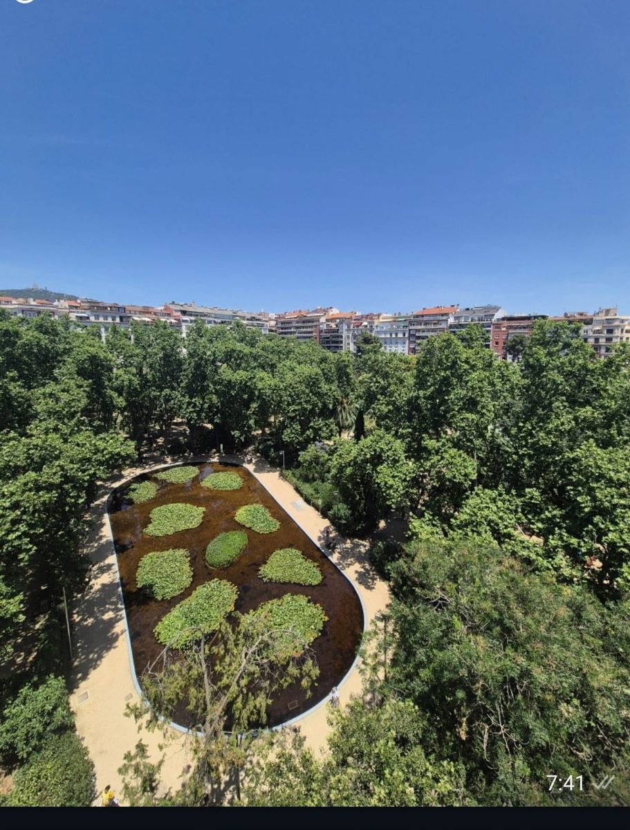 Venta : piso  señoríal con vistas al turo park