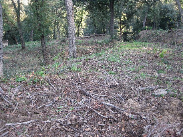 Solar 2.674 m2 bscos de montnegre